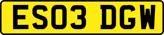 ES03DGW