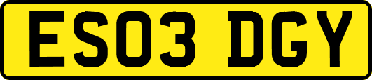 ES03DGY