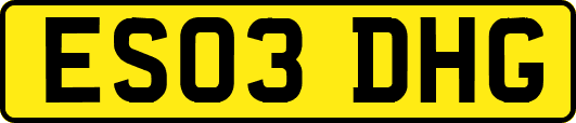 ES03DHG