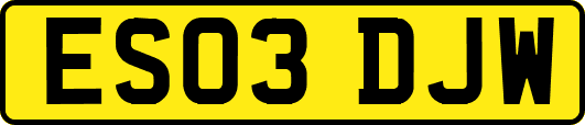 ES03DJW