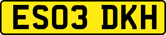 ES03DKH