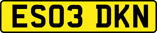ES03DKN