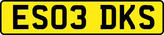 ES03DKS