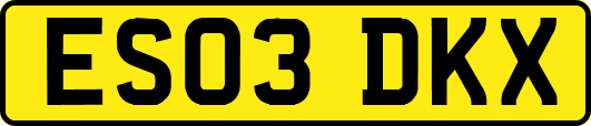 ES03DKX