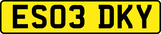 ES03DKY