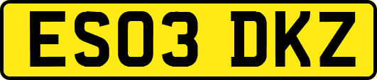 ES03DKZ