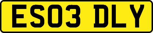 ES03DLY