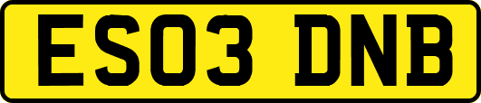 ES03DNB