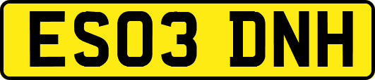 ES03DNH