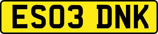 ES03DNK