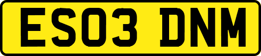 ES03DNM