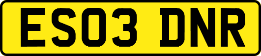 ES03DNR