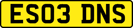 ES03DNS