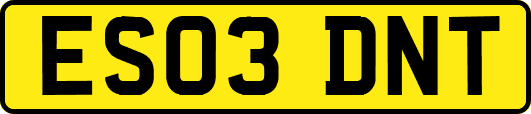 ES03DNT