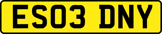 ES03DNY