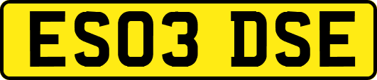 ES03DSE