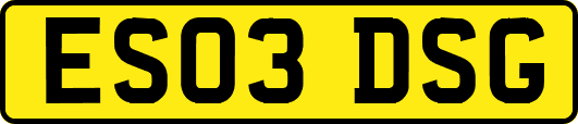 ES03DSG