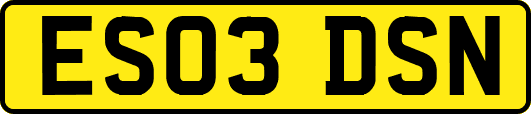 ES03DSN