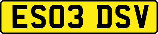 ES03DSV