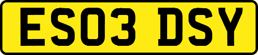ES03DSY