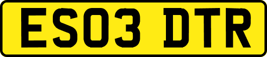 ES03DTR