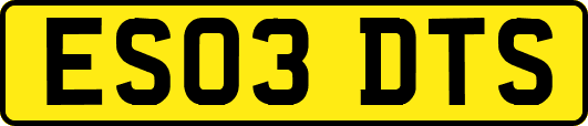 ES03DTS