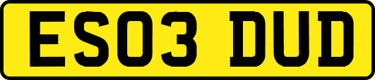 ES03DUD