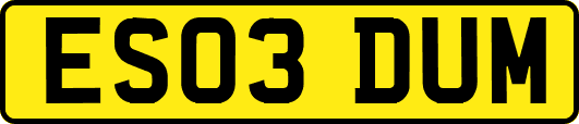 ES03DUM