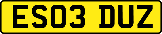 ES03DUZ