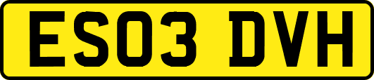 ES03DVH