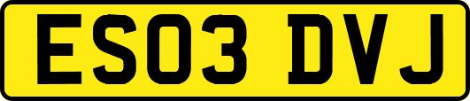 ES03DVJ