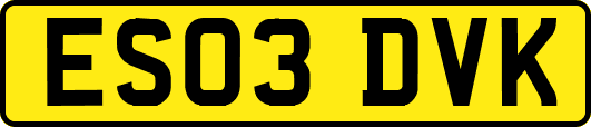 ES03DVK