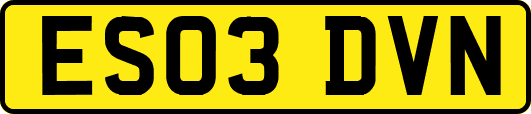 ES03DVN