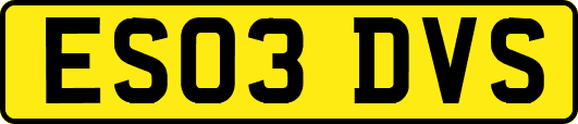ES03DVS
