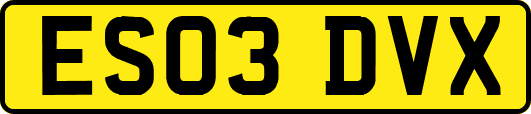 ES03DVX