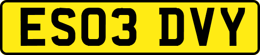 ES03DVY