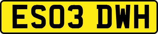 ES03DWH