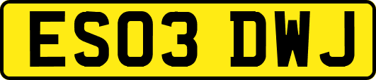 ES03DWJ