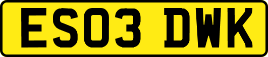 ES03DWK