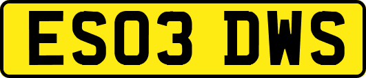 ES03DWS