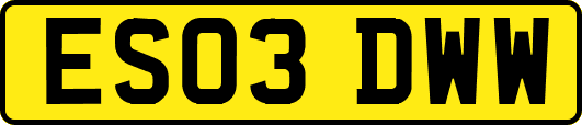 ES03DWW