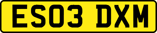 ES03DXM