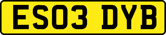 ES03DYB