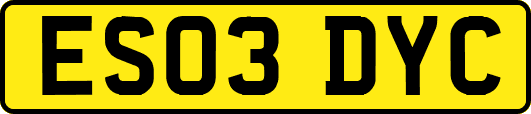 ES03DYC