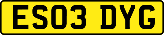 ES03DYG