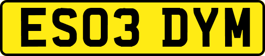 ES03DYM