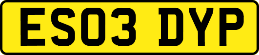ES03DYP