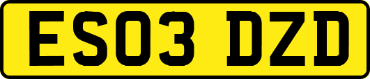 ES03DZD