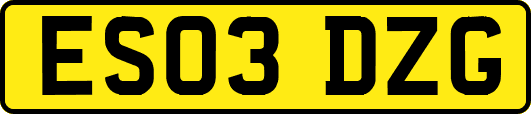 ES03DZG