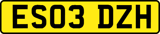 ES03DZH